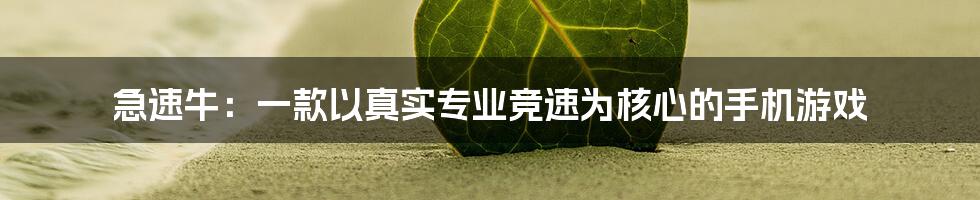 急速牛：一款以真实专业竞速为核心的手机游戏