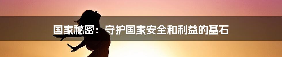 国家秘密：守护国家安全和利益的基石