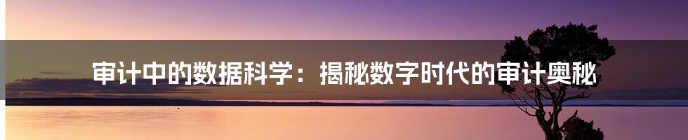 审计中的数据科学：揭秘数字时代的审计奥秘