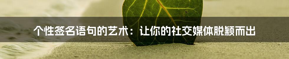 个性签名语句的艺术：让你的社交媒体脱颖而出