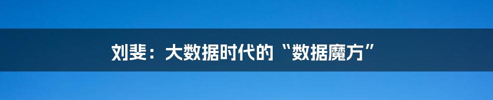 刘斐：大数据时代的“数据魔方”