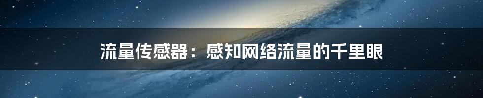 流量传感器：感知网络流量的千里眼