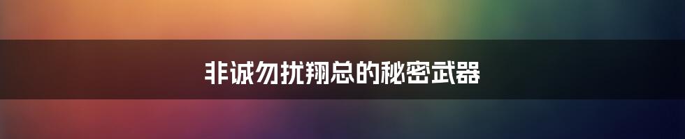 非诚勿扰翔总的秘密武器