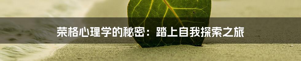 荣格心理学的秘密：踏上自我探索之旅