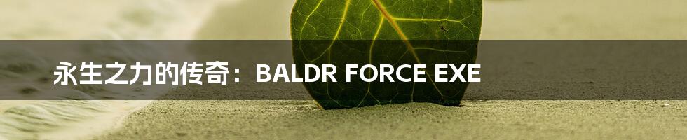 永生之力的传奇：BALDR FORCE EXE