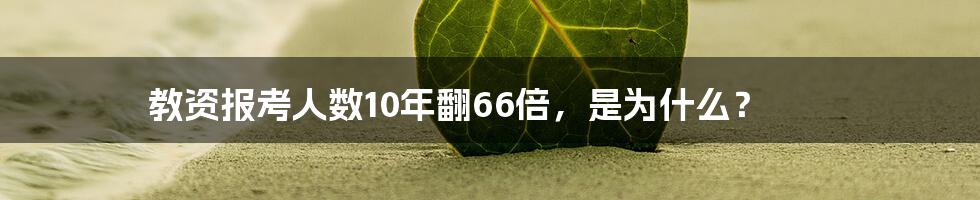 教资报考人数10年翻66倍，是为什么？