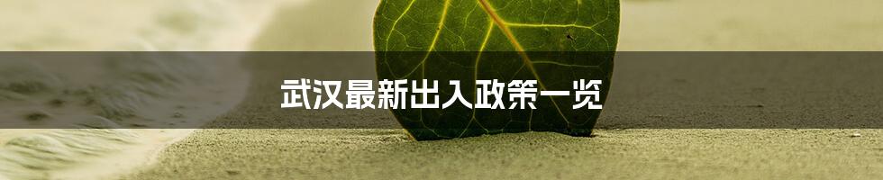 武汉最新出入政策一览