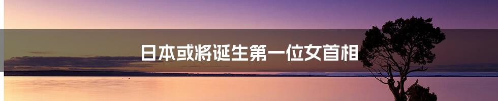 日本或将诞生第一位女首相