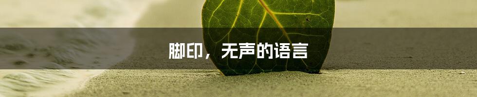 脚印，无声的语言