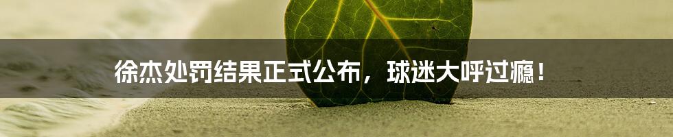 徐杰处罚结果正式公布，球迷大呼过瘾！