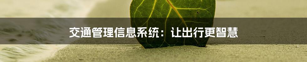 交通管理信息系统：让出行更智慧