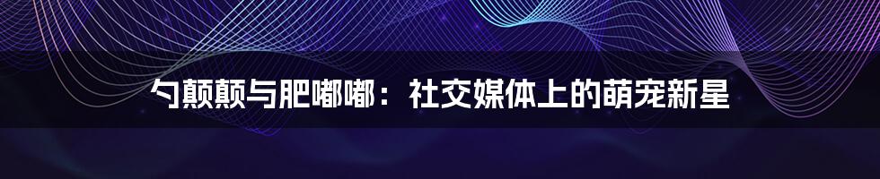 勺颠颠与肥嘟嘟：社交媒体上的萌宠新星