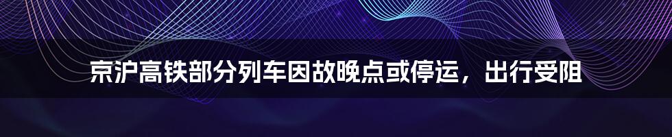 京沪高铁部分列车因故晚点或停运，出行受阻