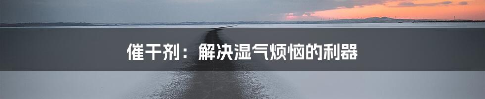 催干剂：解决湿气烦恼的利器