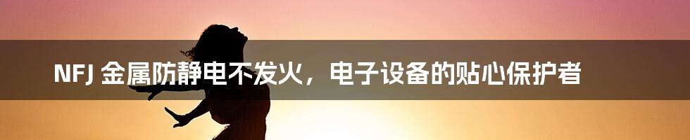 NFJ 金属防静电不发火，电子设备的贴心保护者