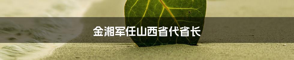 金湘军任山西省代省长