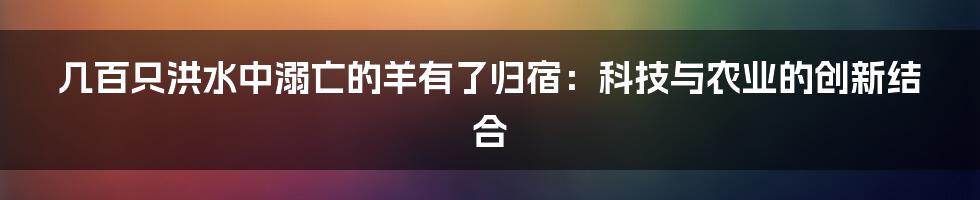 几百只洪水中溺亡的羊有了归宿：科技与农业的创新结合