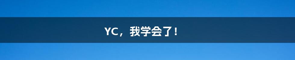 YC，我学会了！