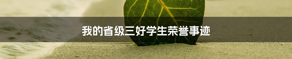 我的省级三好学生荣誉事迹