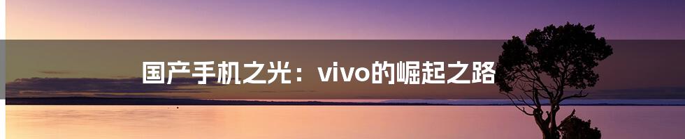 国产手机之光：vivo的崛起之路