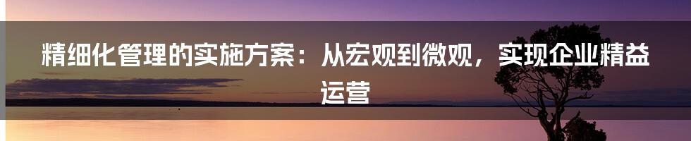 精细化管理的实施方案：从宏观到微观，实现企业精益运营