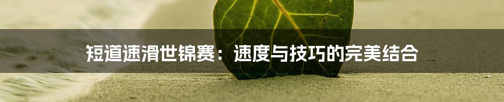 短道速滑世锦赛：速度与技巧的完美结合