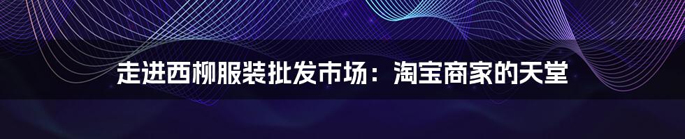 走进西柳服装批发市场：淘宝商家的天堂