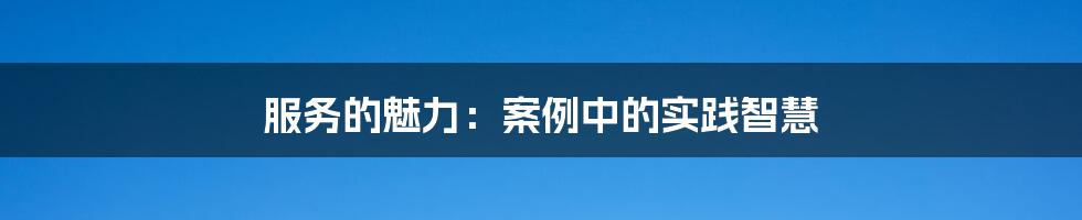 服务的魅力：案例中的实践智慧