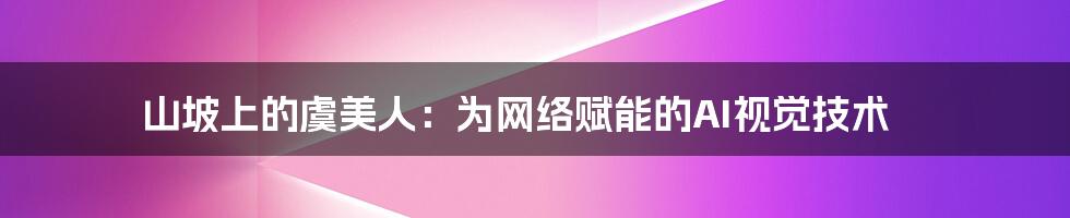 山坡上的虞美人：为网络赋能的AI视觉技术