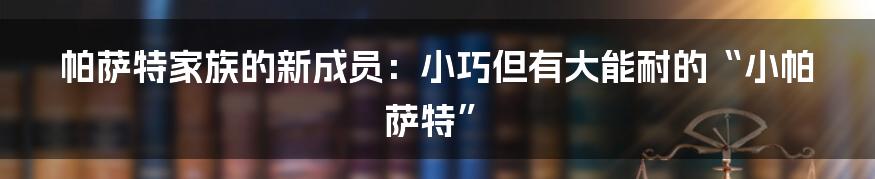 帕萨特家族的新成员：小巧但有大能耐的“小帕萨特”