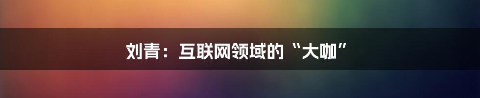 刘青：互联网领域的“大咖”