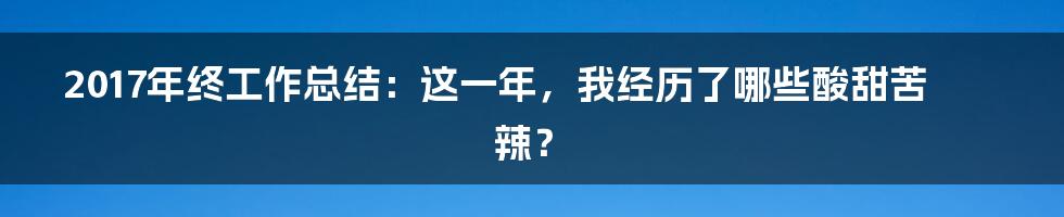 2017年终工作总结：这一年，我经历了哪些酸甜苦辣？