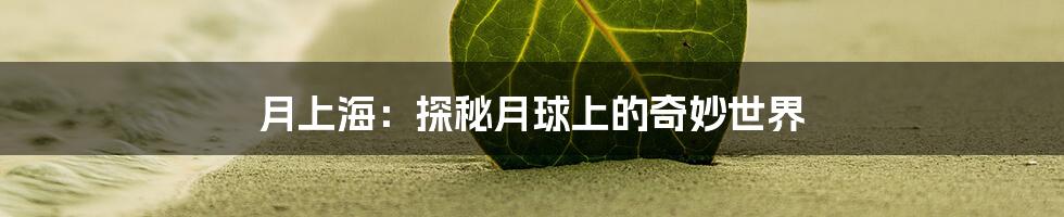 月上海：探秘月球上的奇妙世界