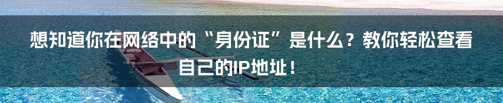 想知道你在网络中的“身份证”是什么？教你轻松查看自己的IP地址！