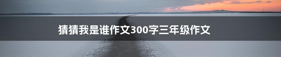 猜猜我是谁作文300字三年级作文