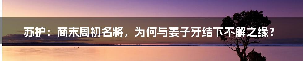 苏护：商末周初名将，为何与姜子牙结下不解之缘？