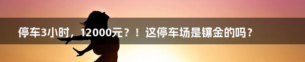 停车3小时，12000元？！这停车场是镶金的吗？