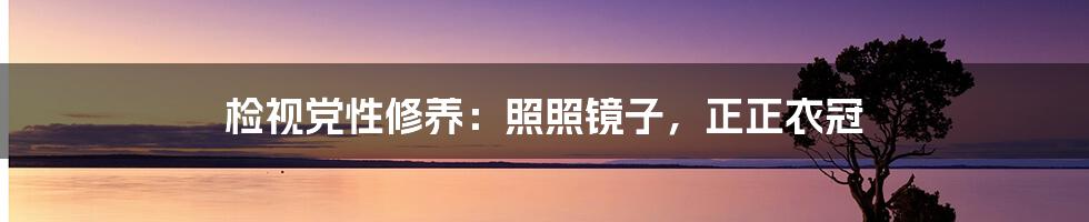 检视党性修养：照照镜子，正正衣冠