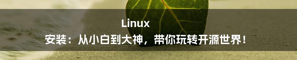 Linux 安装：从小白到大神，带你玩转开源世界！