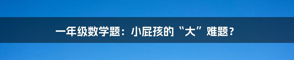 一年级数学题：小屁孩的“大”难题？