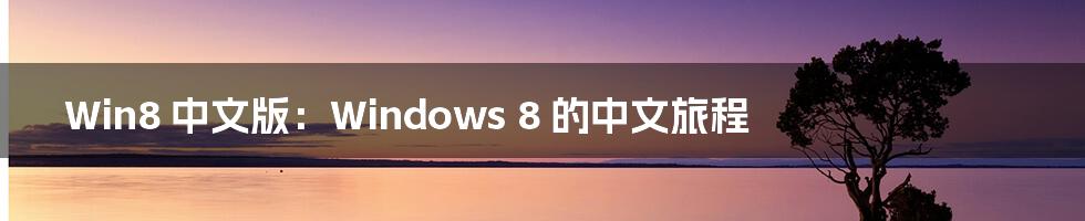 Win8 中文版：Windows 8 的中文旅程