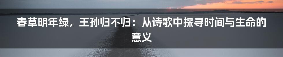 春草明年绿，王孙归不归：从诗歌中探寻时间与生命的意义