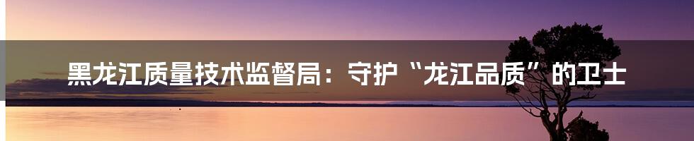 黑龙江质量技术监督局：守护“龙江品质”的卫士