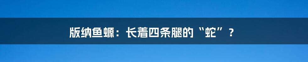 版纳鱼螈：长着四条腿的“蛇”？