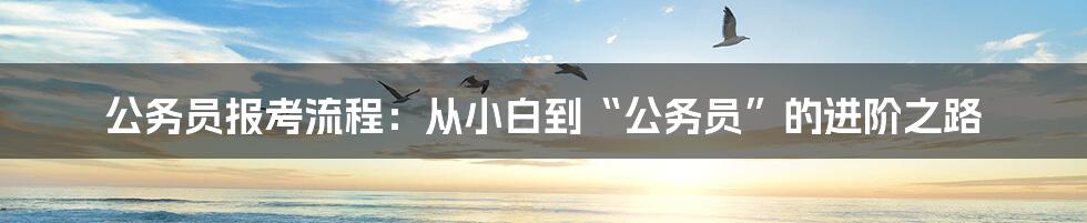 公务员报考流程：从小白到“公务员”的进阶之路