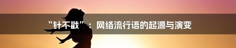 “针不戳”：网络流行语的起源与演变