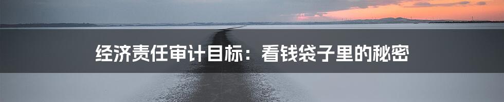 经济责任审计目标：看钱袋子里的秘密