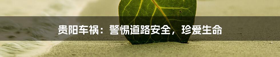 贵阳车祸：警惕道路安全，珍爱生命