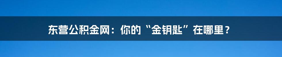 东营公积金网：你的“金钥匙”在哪里？