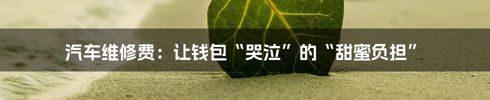 汽车维修费：让钱包“哭泣”的“甜蜜负担”